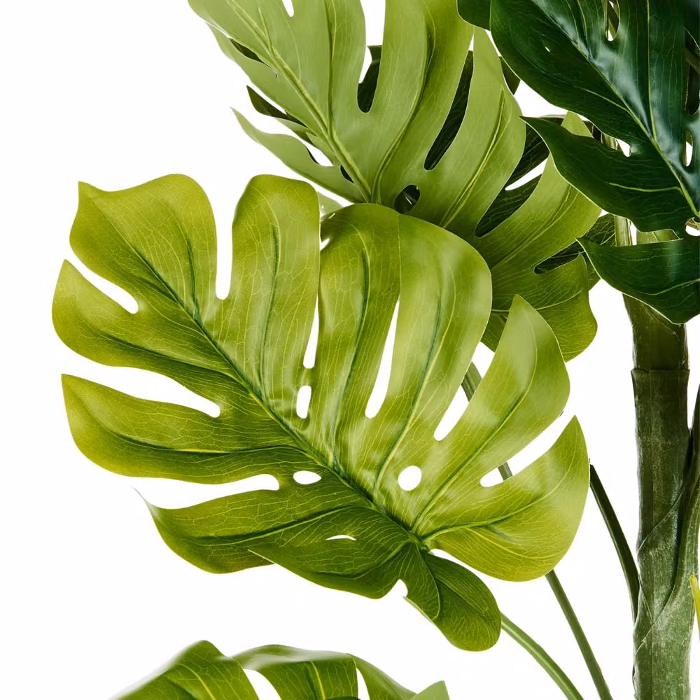 Pianta artificiale verde in vaso nero BELIANI, altezza: 221 cm – 2