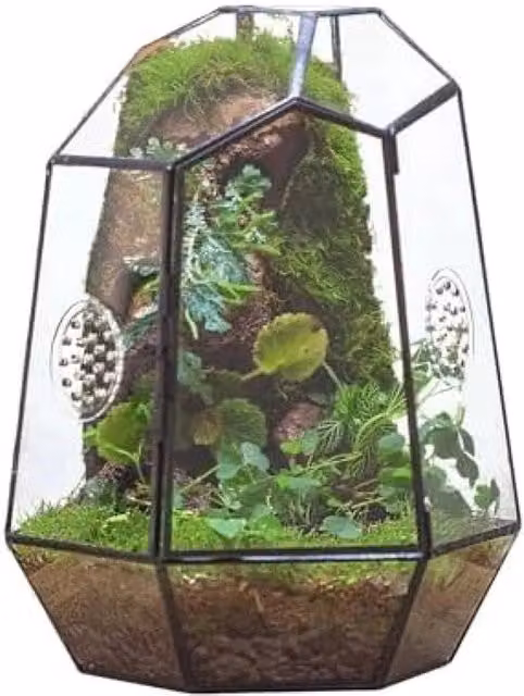 Terrario geometrico in vetro con ventilazione - Cassetta per piante nera per interni