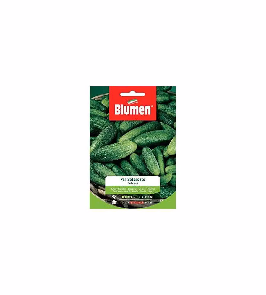 Blumen Sementi Cetriolo per Sottaceto Verde Chiaro 7-10 cm per Orto