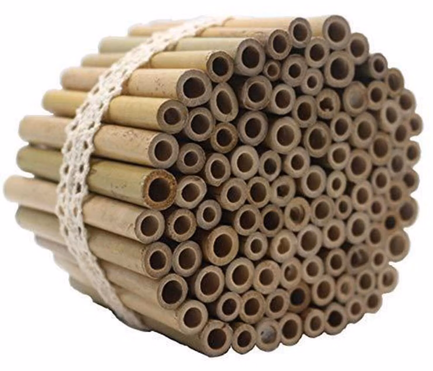 Cannucce di bambù per hotel per insetti, confezione da 100 pezzi, lunghezza 10 cm, diametro 4-6 mm