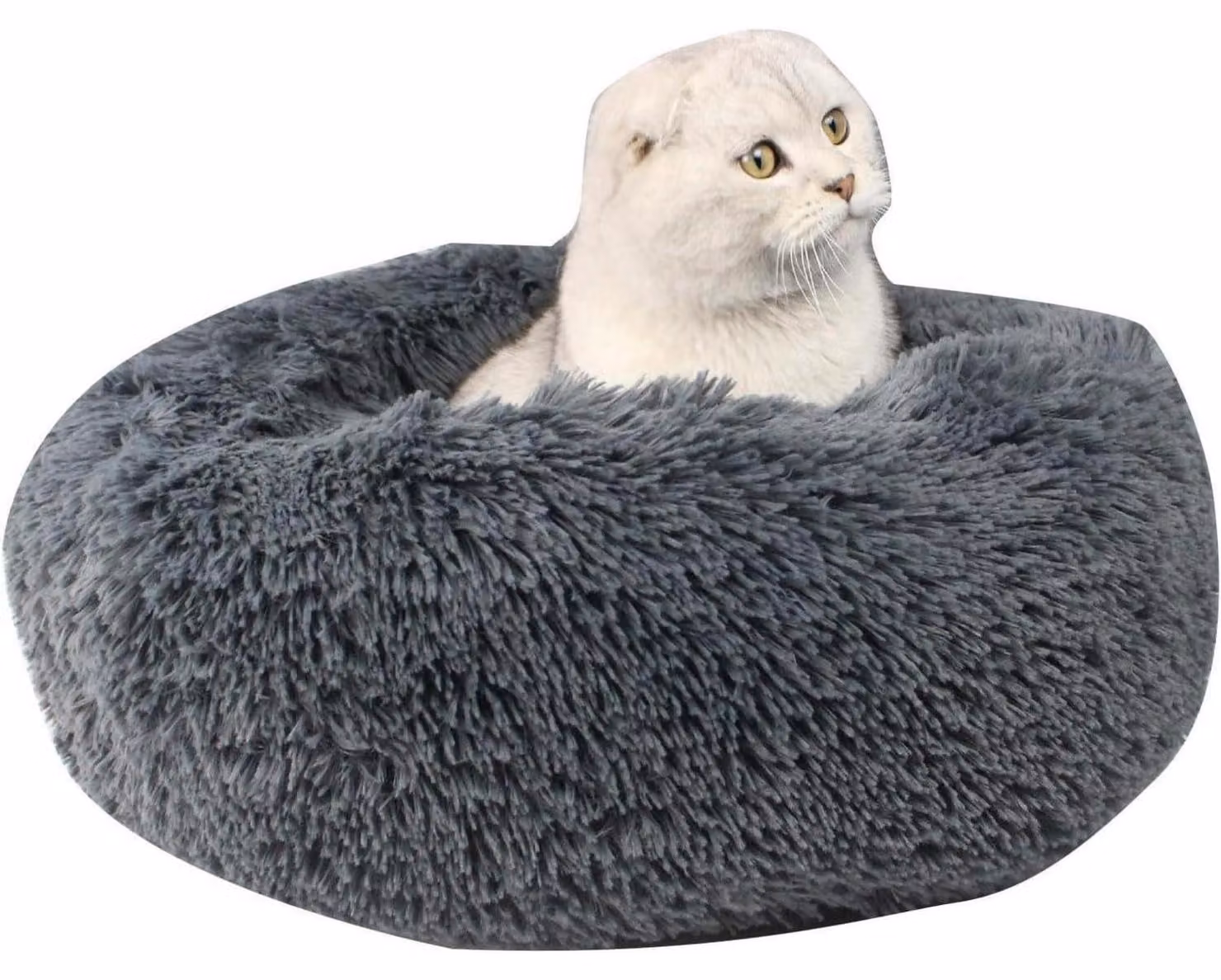 Cuccia per cani morbida, lettino per gatti, cuscino per cani, divano per cani, cesta per gatti, adatta a piccoli animali domestici fino a 2 kg, diametro 40 cm