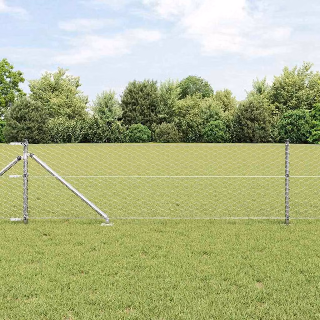 Recinzione in rete saldata con punte 10 x 0,6 m (L x H)