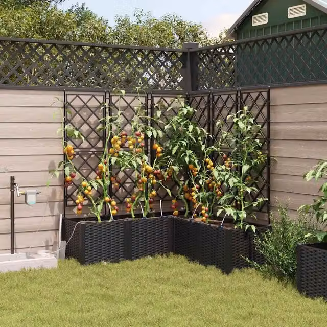 Vaso da giardino 5 pz Nero 120 x 120 x 142 cm PP 42002856