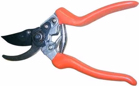 Forbici a mano, a doppio taglio con blocco 200 mm 556819