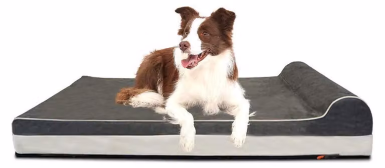 Cuccia ortopedica per cani, in memory foam, extra grande, grigia, dimensioni 116 x 69 x 20 cm