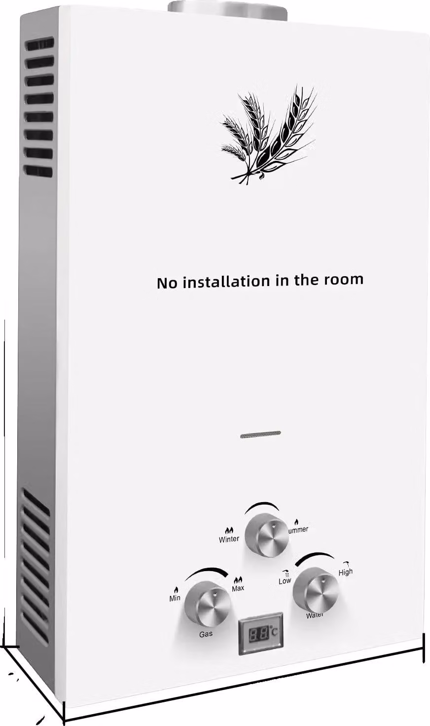 Scaldabagno, fornitura illimitata di acqua calda, design compatto per montaggio a parete, altro-d, 24 kW 12 L