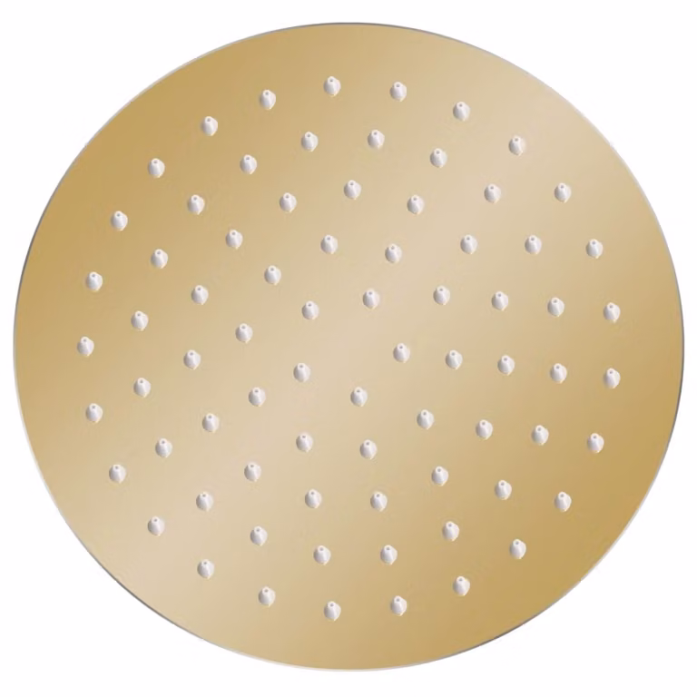Testa Doccia a Pioggia in Acciaio Inox 20 cm Rotonda Oro