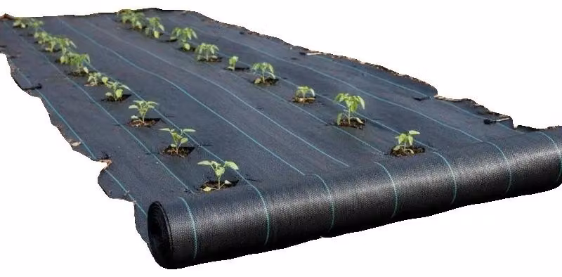 Tessuto non tessuto per controllo delle erbacce, geotessuto in polipropilene permeabile, dimensioni 1,2 m x 30,5 m, superficie di copertura 36,6 m², densità 164 g/m², elevata permeabilità