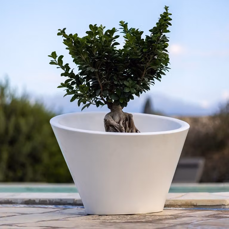 Vaso Dorico Kloris