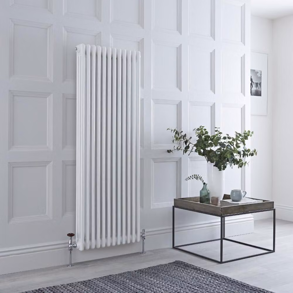 Radiatore a Colonna Verticale Tradizionale - Pannello Doppio - Bianco - 1500mm x 200mm - Regent