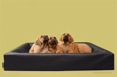 Bia letto cane cesto originale quadrato nero