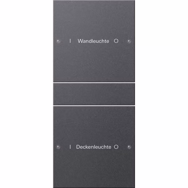 Gira 220228 Set di interruttori a bilanciere doppio, personalizzabile, Sistema 55, antracite