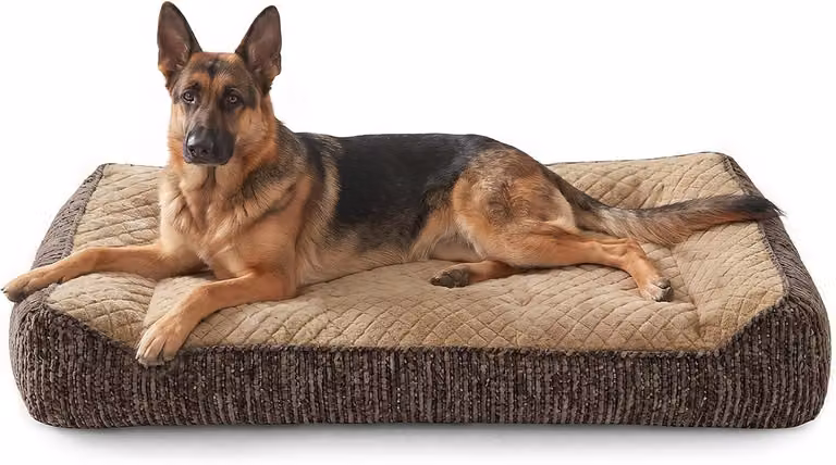 Cuccia ortopedica extra grande per cani, con cuscino extra spesso, rimovibile, dimensioni 120x80 cm, ideale per cani di grossa taglia