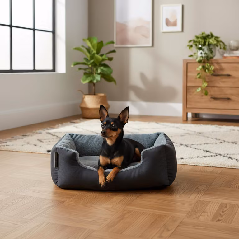 belviona, cuccia per cani con cuscino reversibile, facile da pulire e antiscivolo, luogo accogliente per dormire, 50x37 cm, nero/grigio