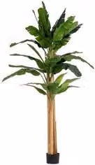 Pianta artificiale Banano Bizzotto verde con 30 foglie, Altezza: 320 cm