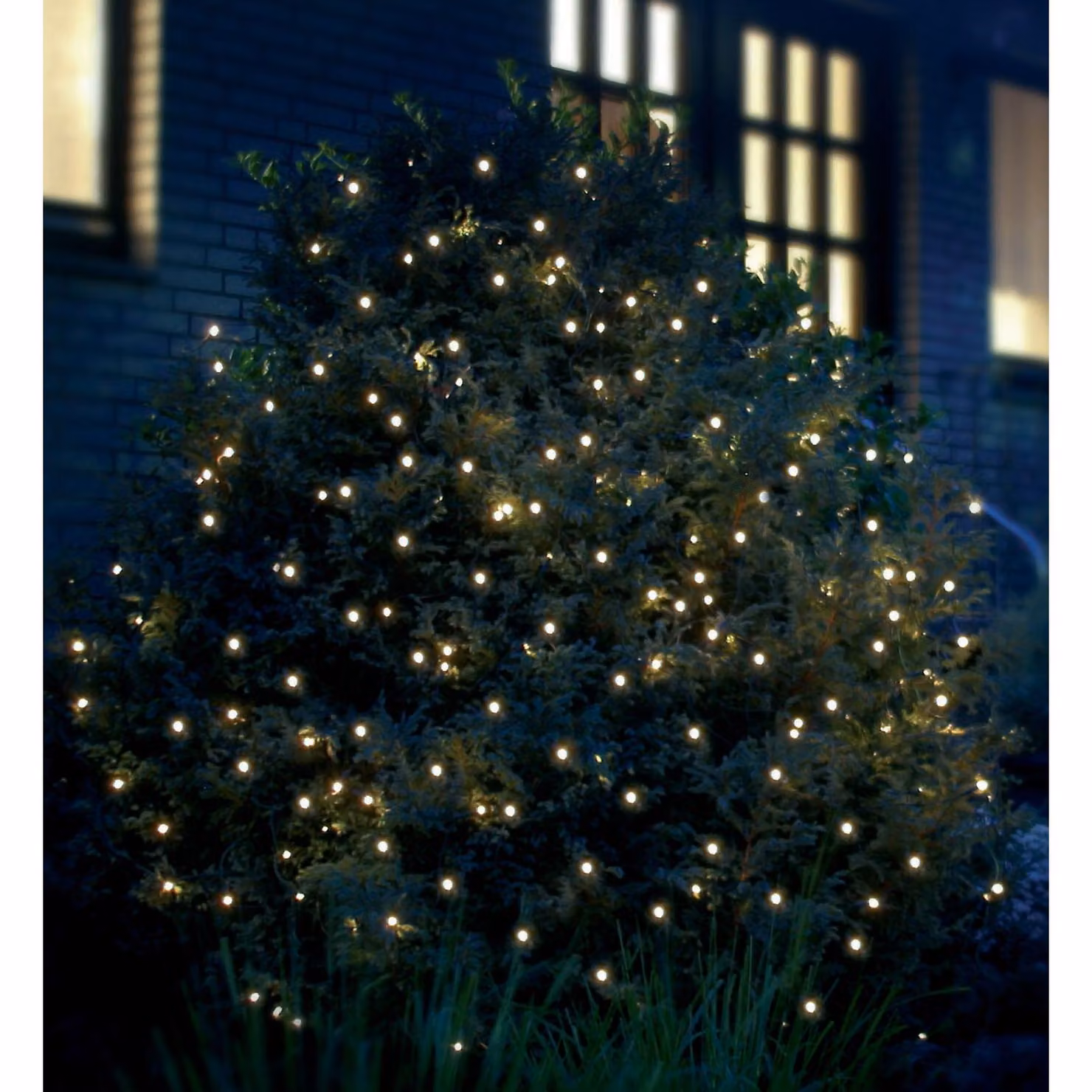 Luce decorativa LED Rete luminosa LED 3x3m 200 bianco freddo-verde F-H-S 02893