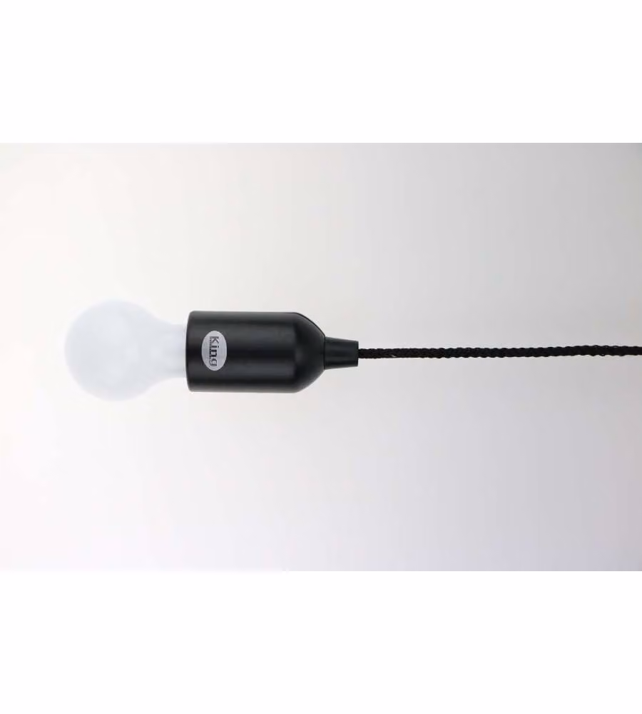 Lampada LED a batteria oro K Light