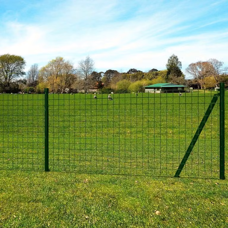 Maison Exclusive - Recinzione Eurozaun in acciaio 25 x 1 m verde