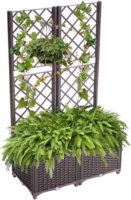 Vaso per piante con schienale - 80 × 40 × 136 cm - Moka - Per giardino, terrazza e balcone