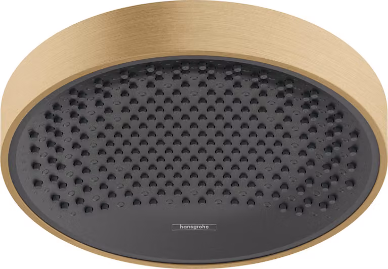 hansgrown Rainfinity douche de plafond 250 1jet, 26228140, 26228140