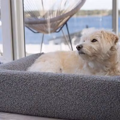 Coprimaterasso Bia Bed Premium Teddy Grigio