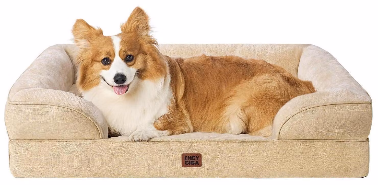 Cuccia ortopedica per cani, color beige chiaro, dimensioni 89x56x17 cm, con rivestimento removibile