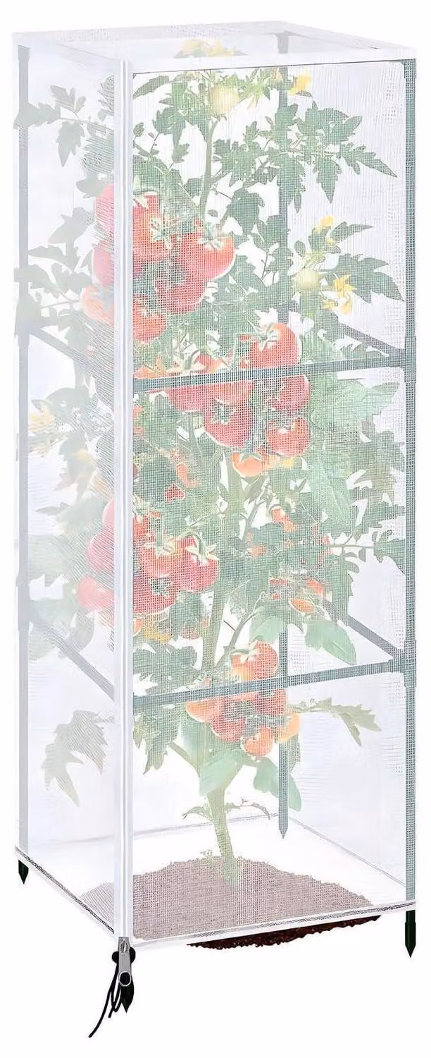 Rete di supporto per pomodori, protezione da insetti e uccelli, dimensioni 150 x 45 cm, con cerniera