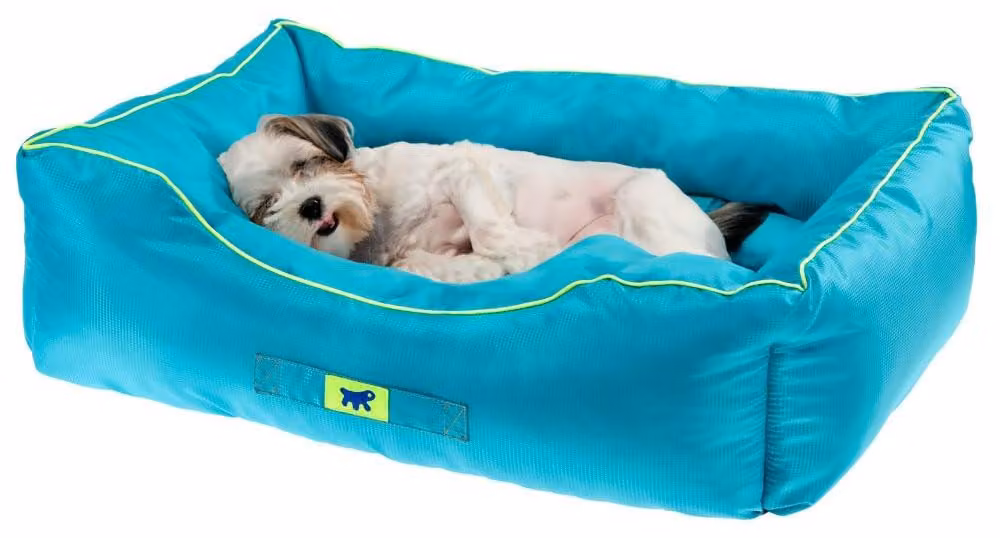 Cuscino per cani Ferplast, divano per cani per piccole razze, cuccia per cani, lettino ortopedico per cani