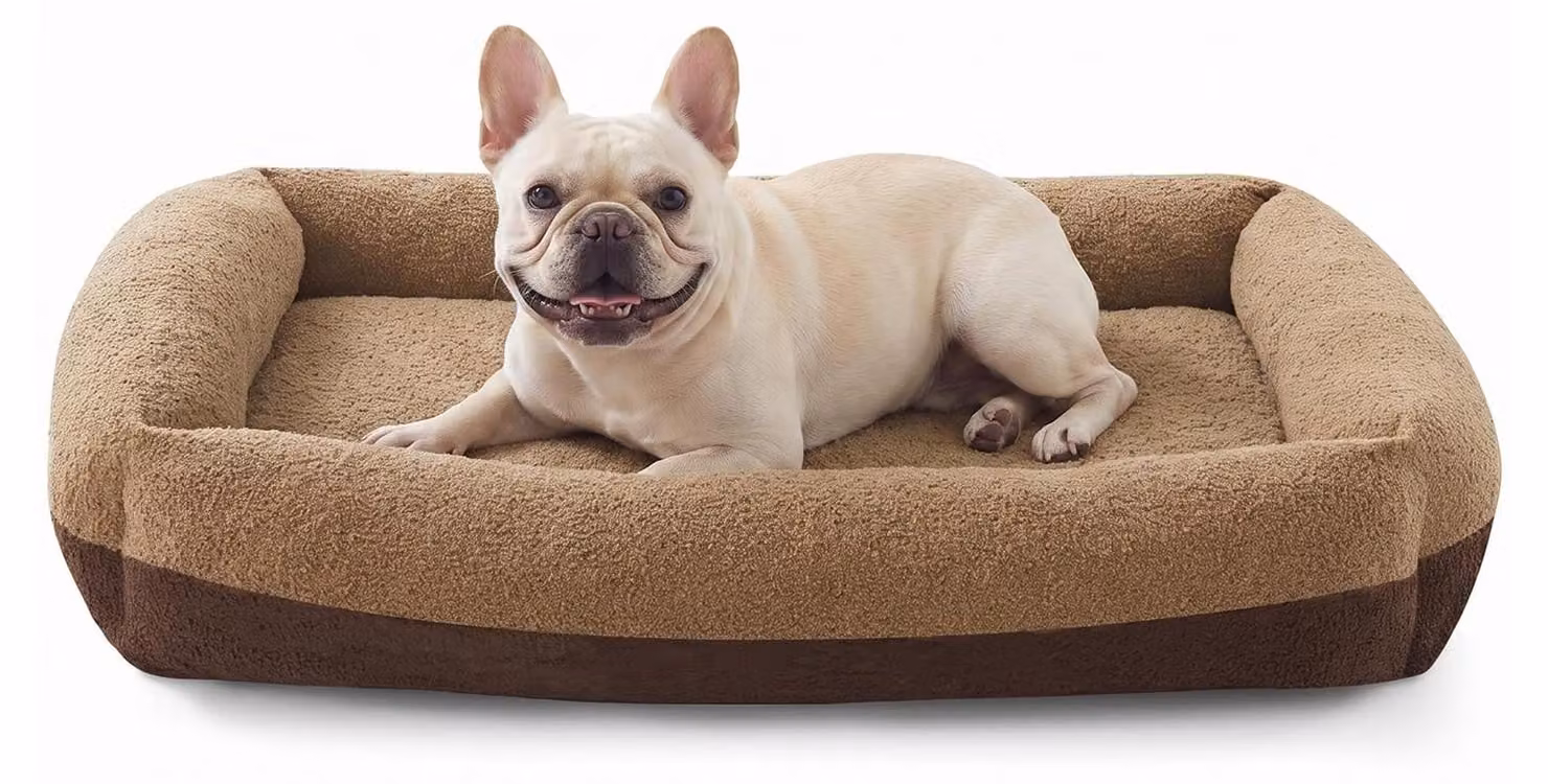 Solidchoice - Cuccia per cani lavabile con coprimento removibile, adatta a cani di piccola taglia, dimensioni 51 x 48 x 15 cm