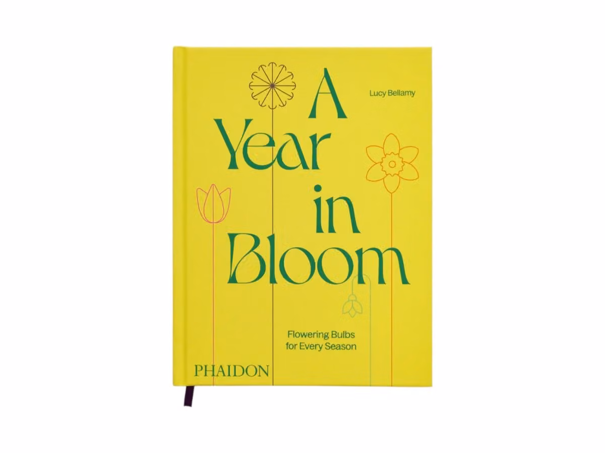 A Year in Bloom: Flowering Bulbs for Every Season Libro
