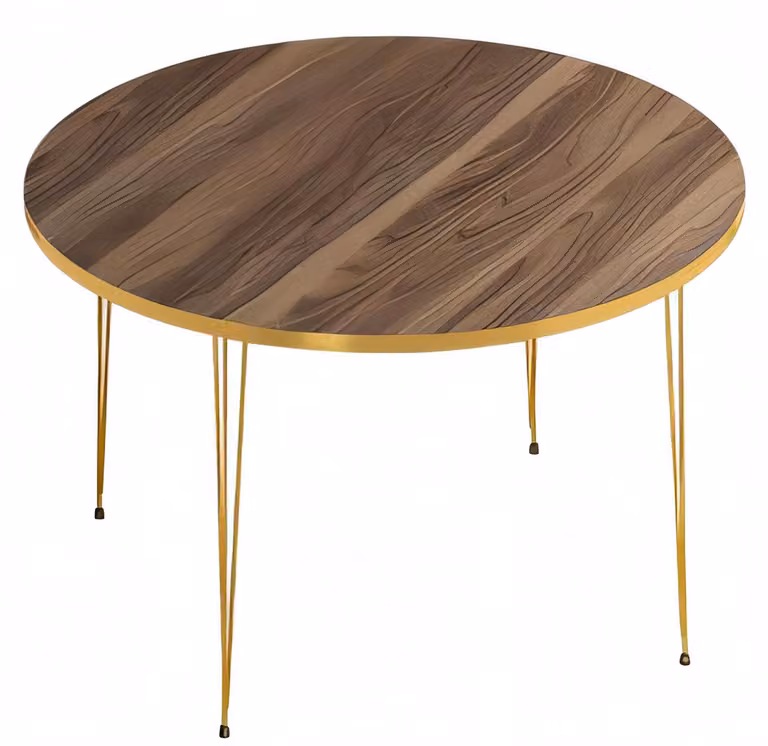 Moderner Couchtisch aus Holz in Braun