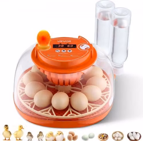 Incubatrice VEVOR per 12 Uova con Controllo Automatico di Temperatura e Umidità, Candela a LED e Finestra Trasparente Arancione, L/P/H: 31,5 x 30,5 x 19,5 cm