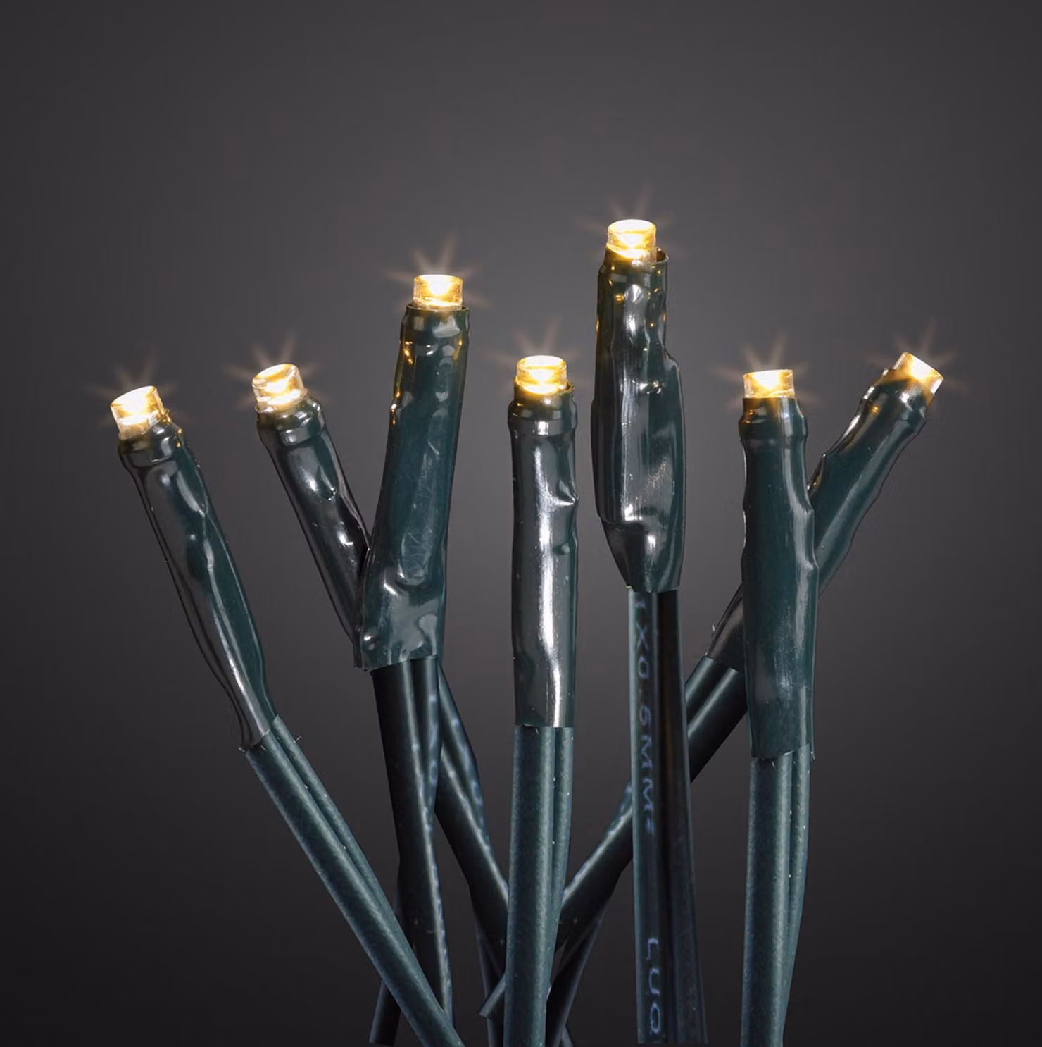 Fata luci decorazione 100 LED bianco caldo mini illuminazione festa Natale indoor