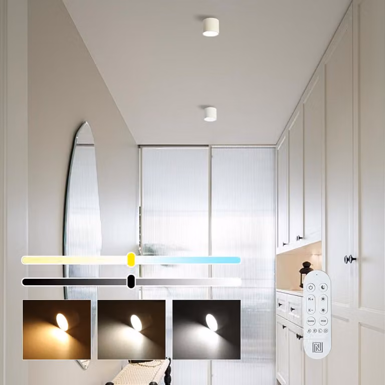 Lampada da soffitto Immax (07241L) NEO LITE RONDATES LED 115cm 18W bianco metallo+plastica telecomando T