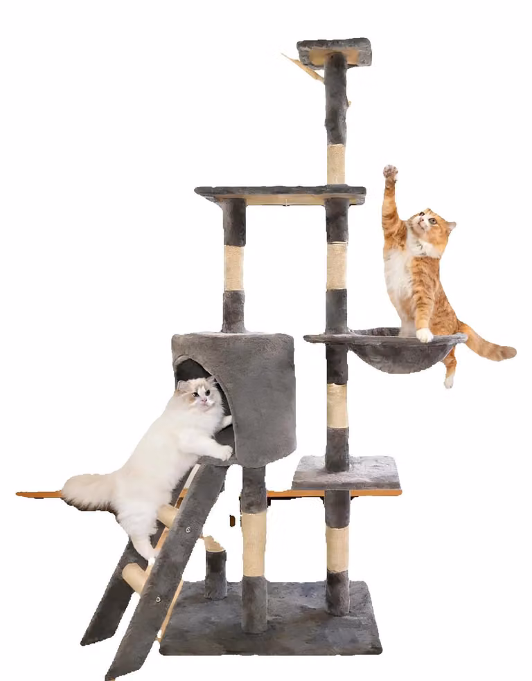 Katzenbaum, design modulare, tiragraffi, struttura per arrampicata per gatti