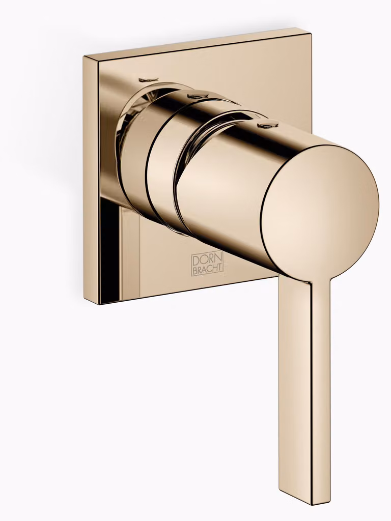 Dornbracht mitigeur monocommandé encastré avec plaques de recouvrement 80x80mm, 36060670-47, 36060670-47