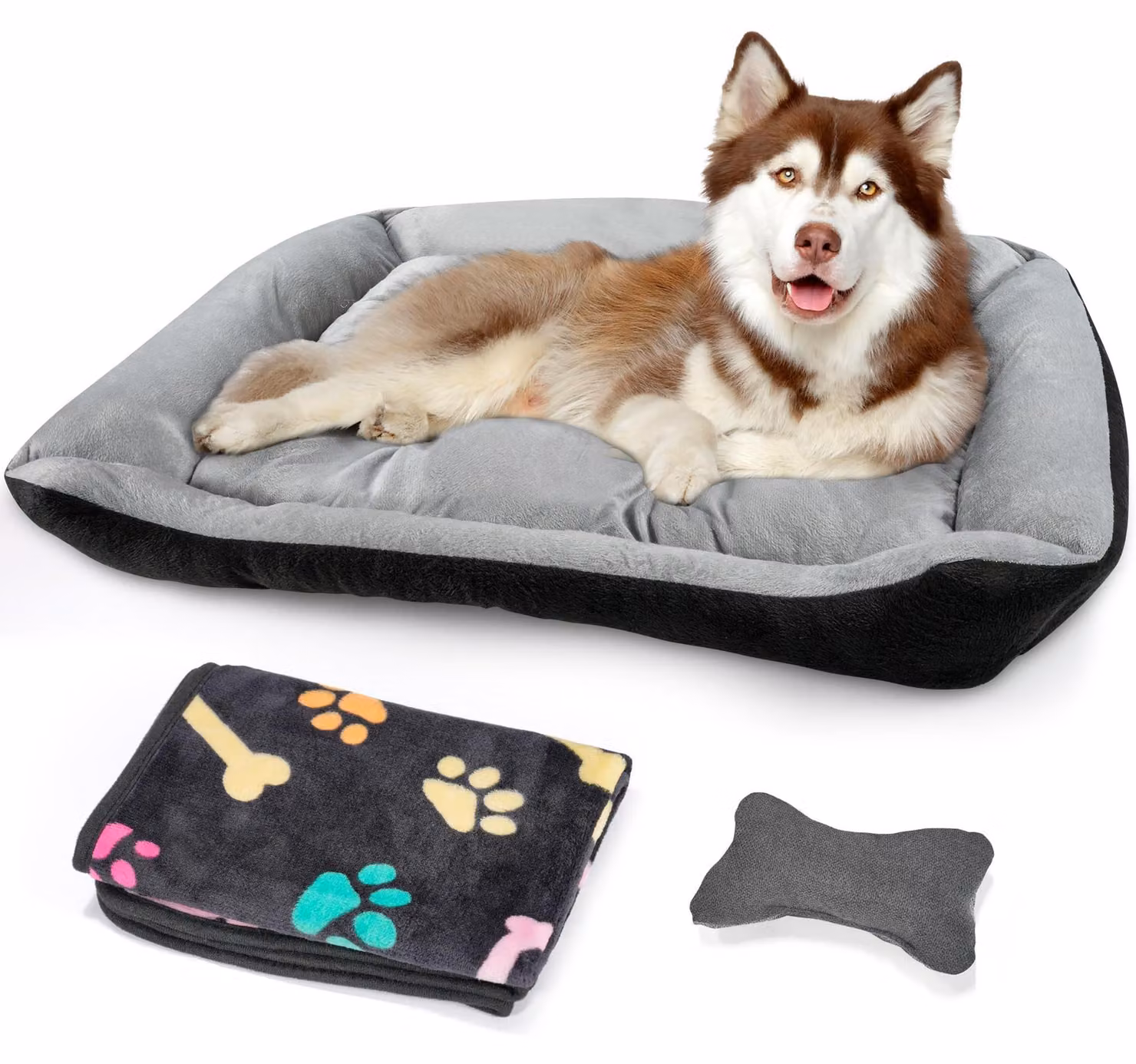 Cuccia per cani di taglia media, con bordi rialzati e lavabile. Cuccie per cani