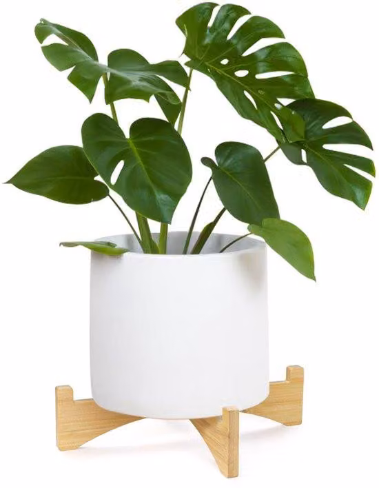 Portavasi in plastica, a un piano, design mid-century modern, per interni ed esterni