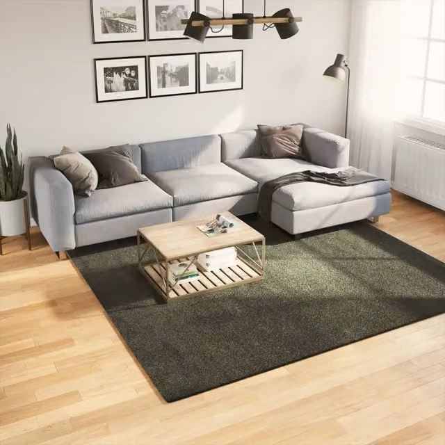 Tappeto Moderno vidaXL in Poliestere Verde, Lavabile e Antiscivolo, 240 x 240 x 1,8 cm