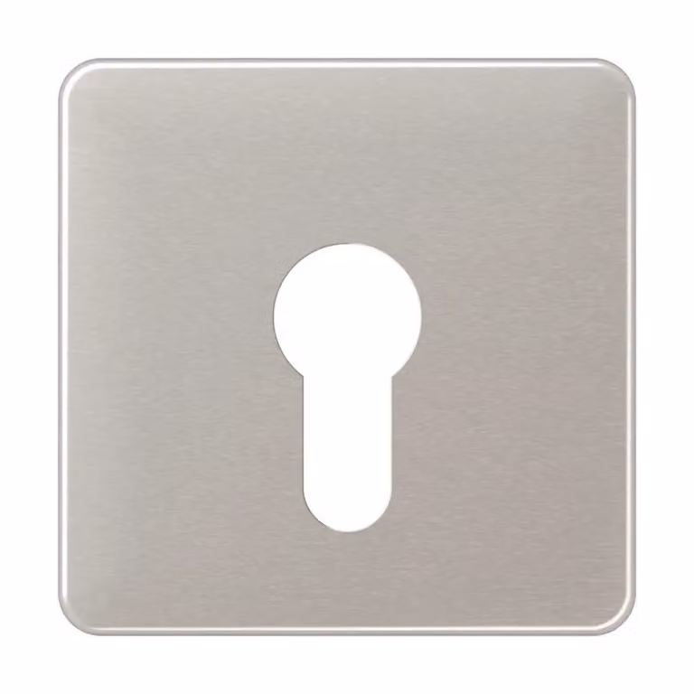 Jung CD525PT Copertura per interruttore a chiave, piatta