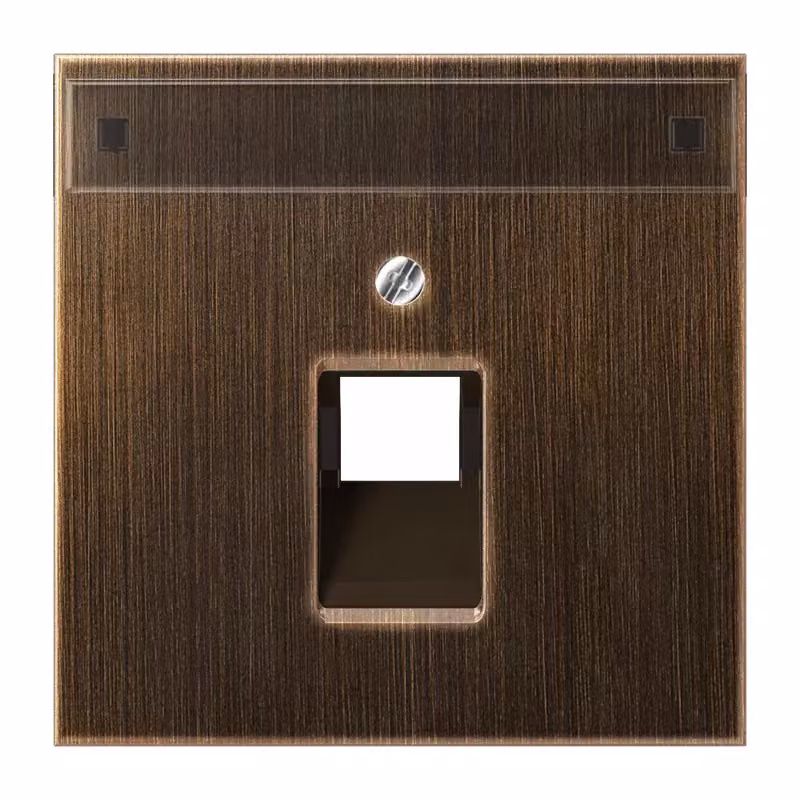 Jung ME2969-1NAUAAT Copertura con campo di scrittura 12 x 55 mm in ottone anticato