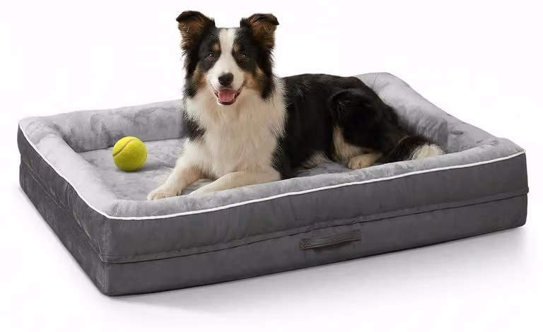 Cuccia ortopedica per cani, colore grigio, dimensioni 91x61x18 cm, lavabile