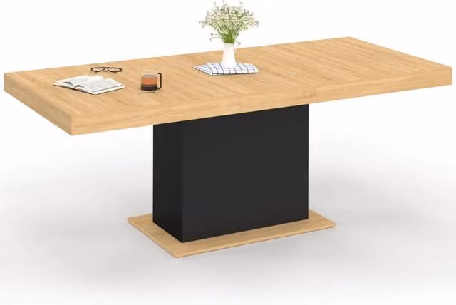 IDMarket - Tavolo da pranzo rettangolare allungabile EDEN 6-10 persone in legno e nero 160-200 cm