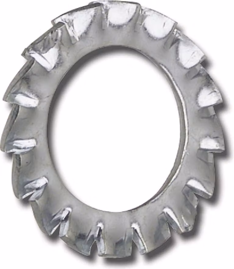Rondella dentata con denti esterni ø M12, rondelle di sicurezza DIN6798A, acciaio zincato
