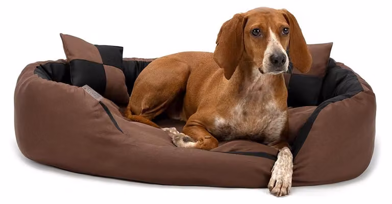 Cuccia per cani 4-in-1 con cuscino reversibile e materiale idrorepellente