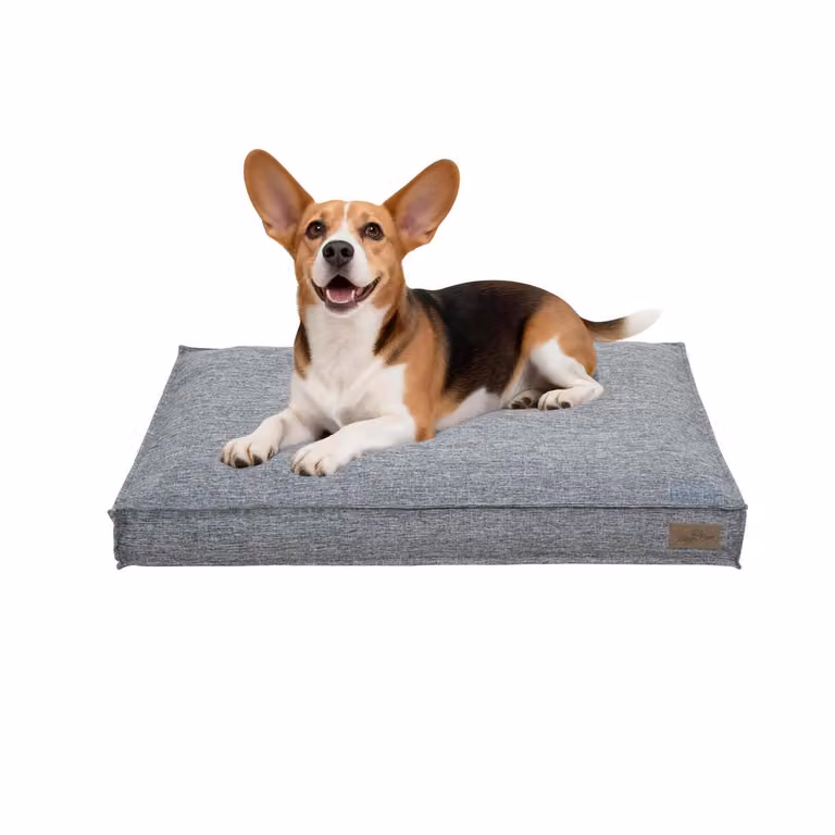 WISFOR Lettino per cani, divanetto per cani, cuscino per cani, antiscivolo, rivestimento sfoderabile e lavabile, L: 88,5 x 59,5 x 10 cm, grigio