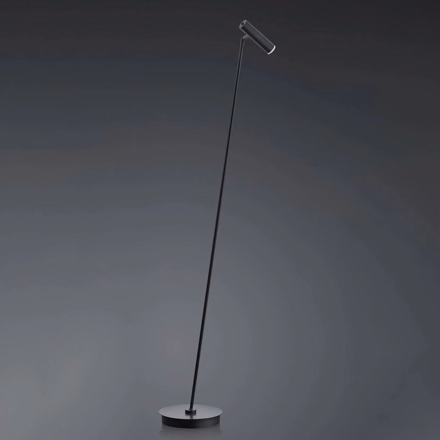 HELL Lampada da terra a LED Tom, dimmerabile, Nero, Soggiorno / Sala da pranzo, Acciaio Inox, Moderno, Lampada LED da terra