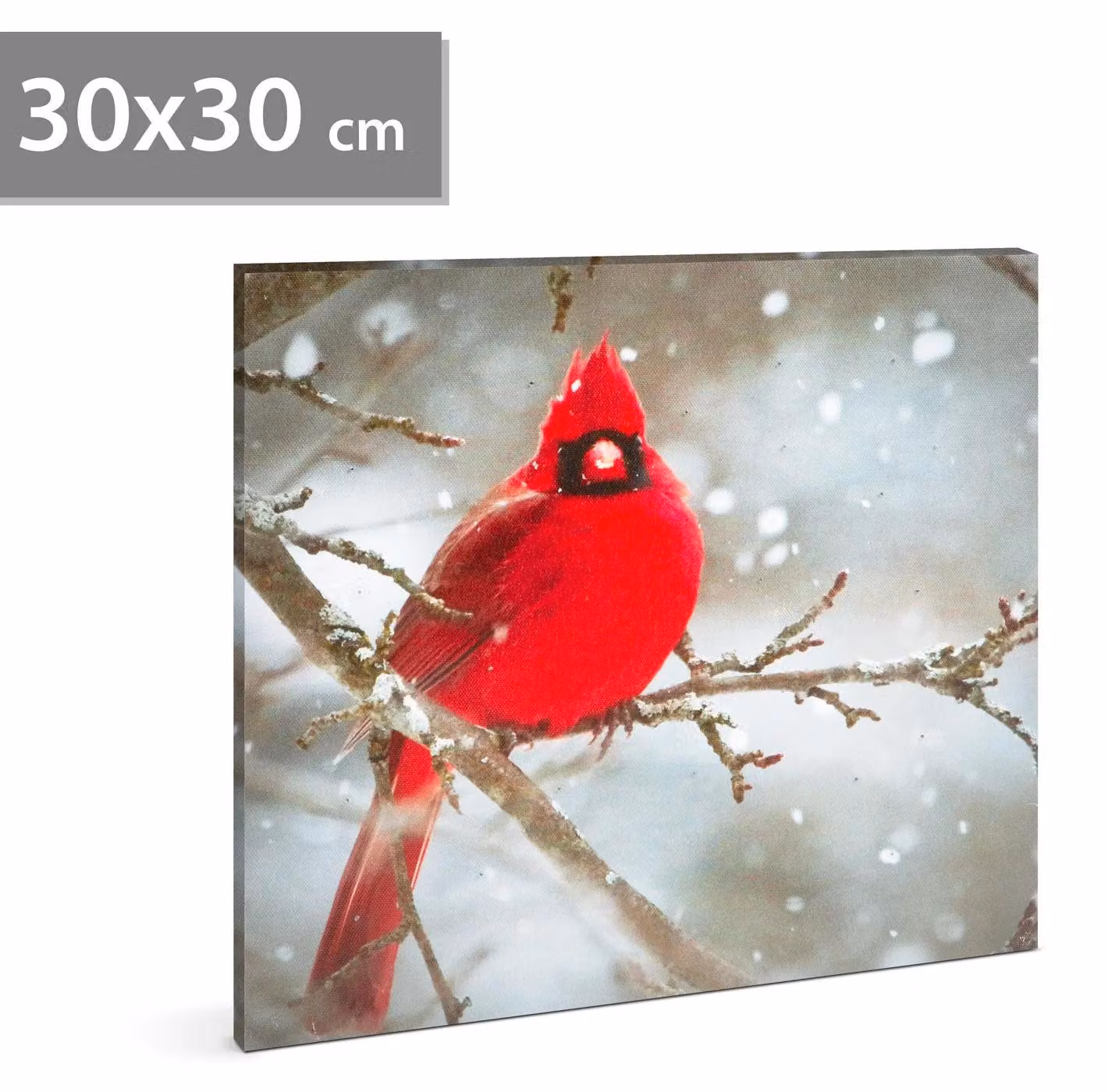 GLOBIZ LED, quadro illuminato a LED - colore: rosso cardinale - dimensioni: 30 x 30 cm