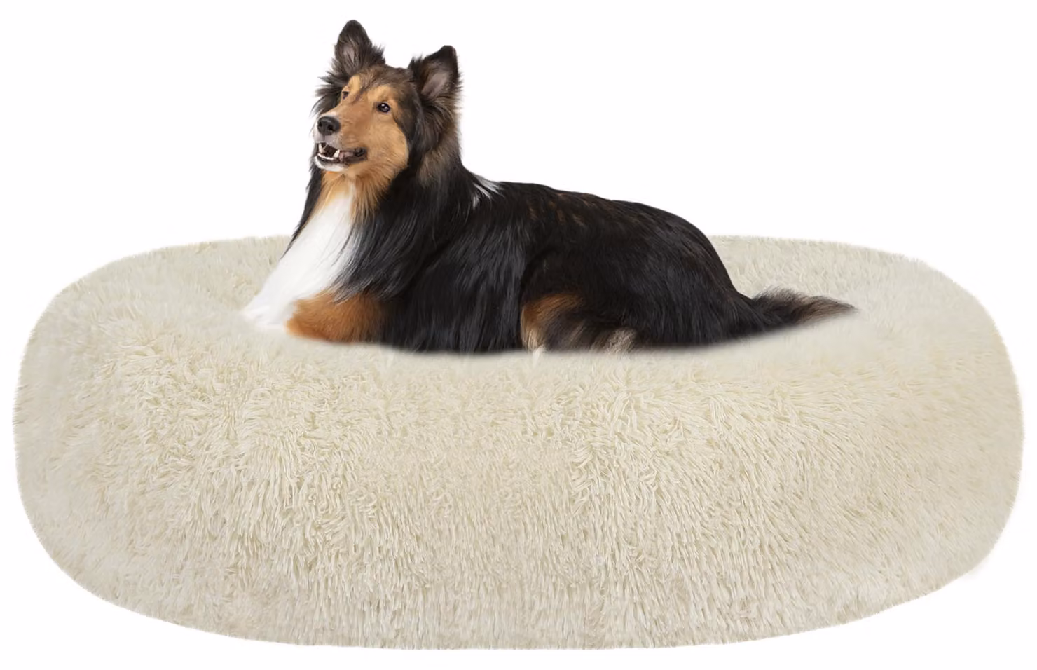 Cuccia ortopedica per cani - Cuscino rotondo color beige - Diametro 80 cm