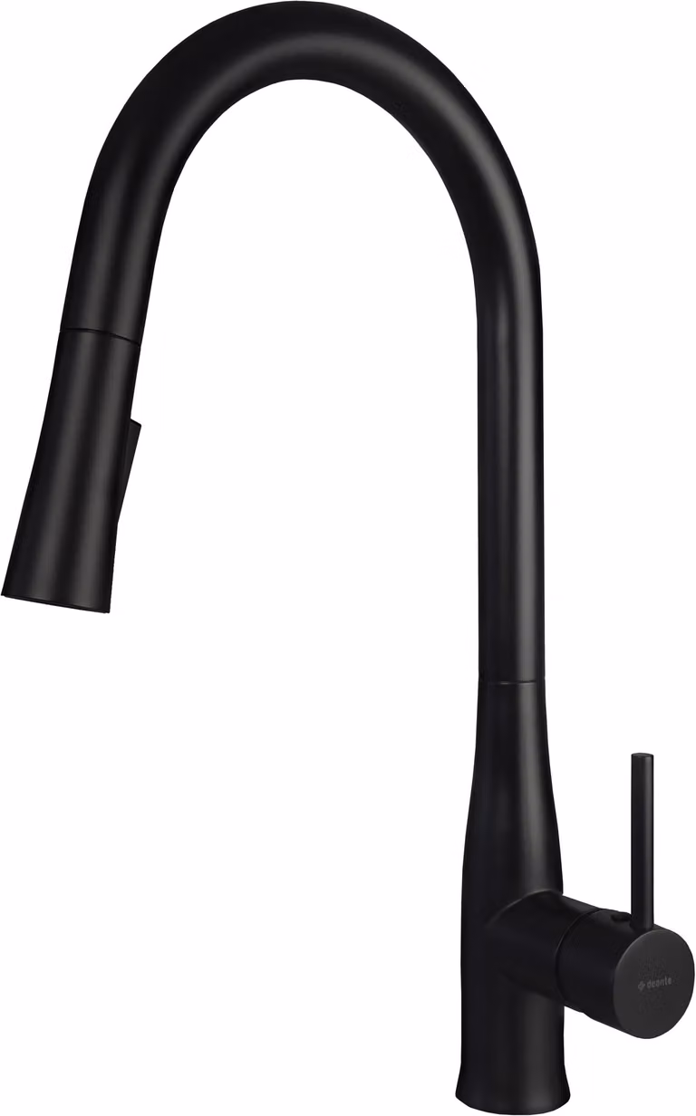 Kitchen faucet with pull-out spout